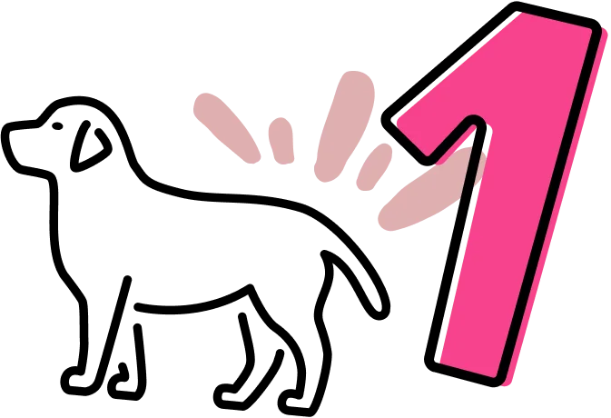 PREPARE YOUR PUP TO GET WET.